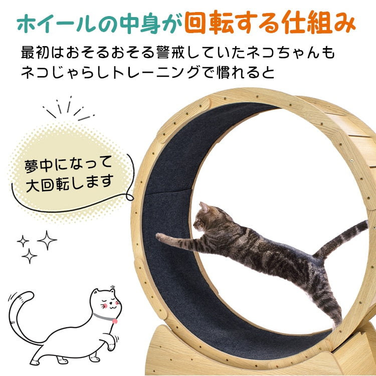 キャットホイール