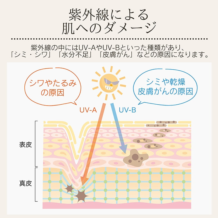 花びら型　晴雨兼用傘