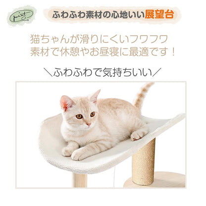 キャットタワー