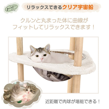 キャットタワー